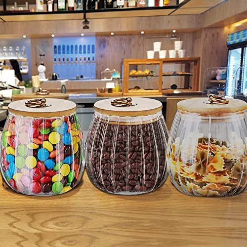 HASA zone Glass Jars with Lids, Set of 4 Glass Canister Storage Jar, 750ML Clear Glass Storage Jar, Airtight Food Canisters for Kitchen Preseving Spice, Sugar, Spaghetti, Cookie&Tea - Image 3