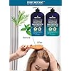 First Botany, Peppermint Rosemary Hair Regrowth and Anti Hair Loss Shampoo and Conditioner Set - Daily Hydrating, Detoxifying, Volumizing Shampoo and Fights Dandruff For Men and Women 16 fl oz x 2