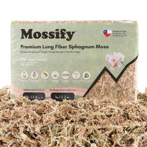 Mossify Premium Sphagnum Moss for Plants 1kg, 2.2 lbs - Long Fiber Moss for Plants Indoor, Orchids, Terrariums, Gardening, Reptiles – Moisture Plant Moss for Propagation, Soil & Habitat Bedding