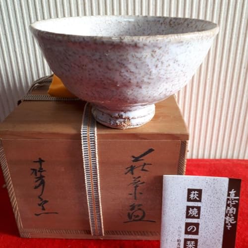 ������ ���� �֏G�q ���q