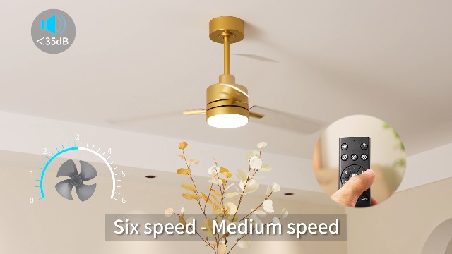 Amazon.com: LANMEL 42'' Ceiling Fan with Lights and Remote, Low