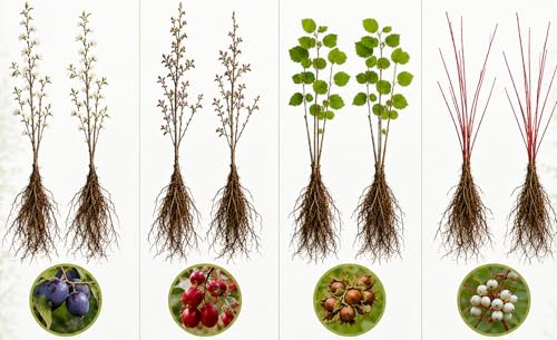 Wildlife Habitat Bare Root Sapling Bundle (8 Plants Total) | 2 American Plum, 2 Crabapple, 2 Hazelnut, 2 Red Osier Dogwood | Native Trees & Shrubs for Deer, Birds & Pollinators