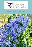 nous proposons de nombreuses autres variétés dans notre boutique pour embellir votre jardin en toute saison, venez les découvrir