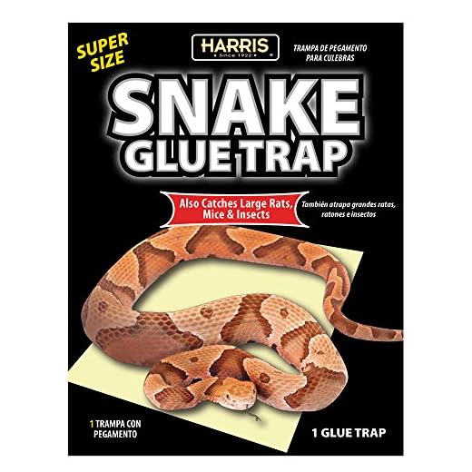 Harris Supersized Snake Glue Trap - Extra Strength, Non-Toxic and Multipurpose (1-Pack)