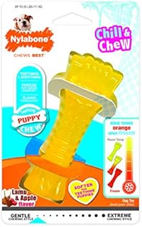 Nylabone Puppy Dog Teething Colour Change Freezer Bone Dog Chew Toy, Lamb & Apple Flavour, Small, for Puppies Up to 11 kg