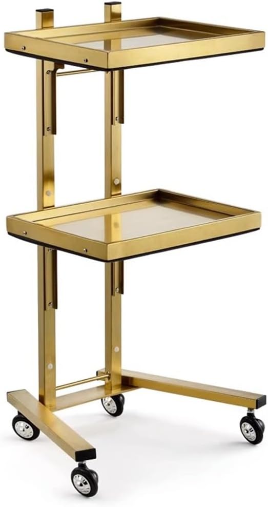 ローリングツールトロリーカート ダブル収納トレイ付き ステンレススチールユーティリティトレイスタンド ホイール付き 美容ヘア用 収納