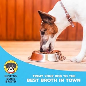 Brutus-Bone-Broth-for-Dogs-Mega-Pack-Beef-Dog-Food-Toppers-All-Natural-Beef-Broth-Powder-for-Dogs-35-OZ - Cucciolini Doodles   Brutus-Bone-Broth-for-Dogs-Mega-Pack-Beef-Dog-Food-Toppers-All-Natural-Beef-Broth-Powder-for-Dogs-35-OZ