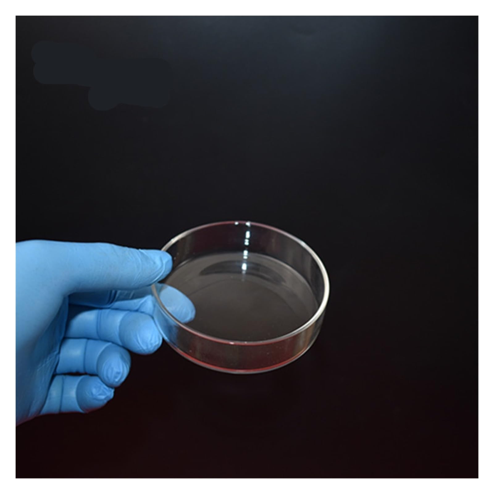 5 Unids/lote 75MM Placa De Petri De Vidrio De Alta Calidad For Placa De Laboratorio Diámetro De Levadura Bacteriana