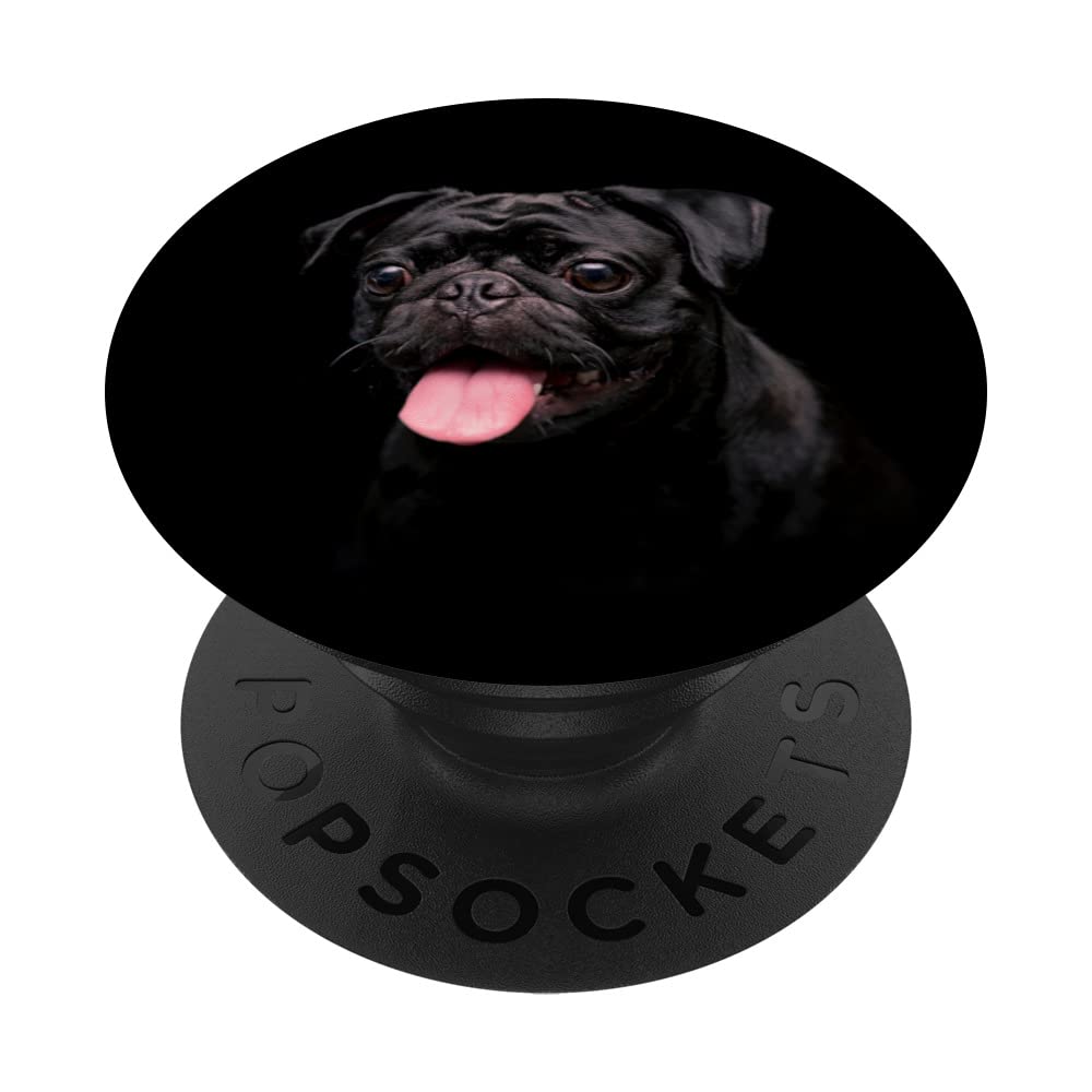 Adorable Cute Black Pug, Pugsy PopSockets Swappable PopGrip