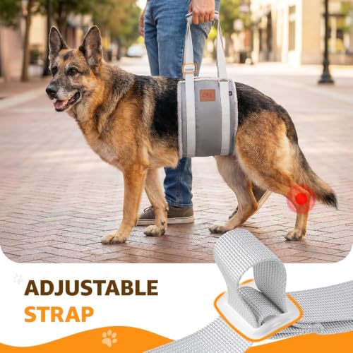 Image of Adjustable Dog Sling for Extra Large Dogs Mobility Aid for Weak Rear Legs