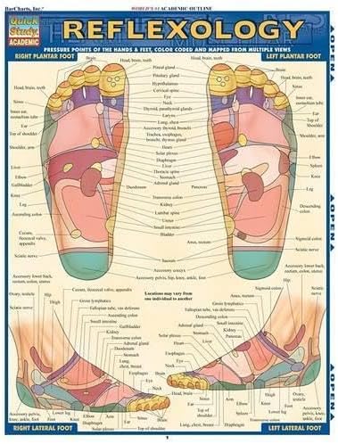 Reflexology (Quick Study Academic Outline)