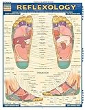 Reflexology (Quick Study Academic Outline)