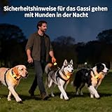 LaRoo Sicherheits LED Leuchtband für Hunde Katzen,LED Licht Blinklicht mit Klettverschluss, Einfach an Halsband Leine und Geschirr zu Befestigen