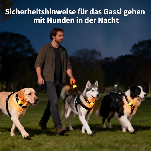 LaRoo Sicherheits LED Leuchtband für Hunde Katzen,LED Licht Blinklicht mit Klettverschluss, Einfach an Halsband Leine und Geschirr zu Befestigen