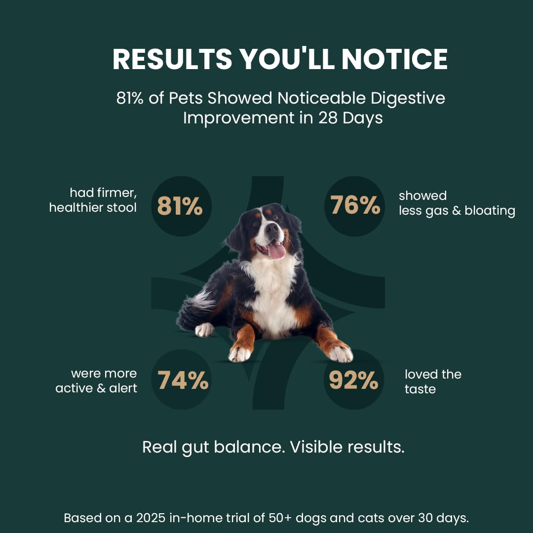 GoodGut+ Digestive Enzymes & Prebiotics for Dogs - 175ml — Amazon image 3