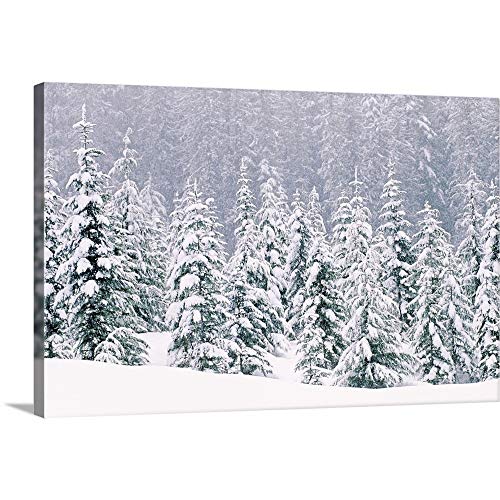CANVAS ON DEMAND Snow Covered Pine Trees Canvas Wall Art