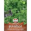 Sperli Petersilie Mooskrause 2