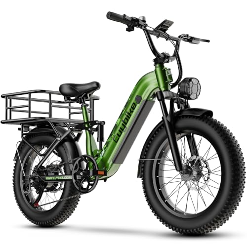 Electric Bike for Adults 1400W Peak, 48V 20AH(960WH) Removable Battery,