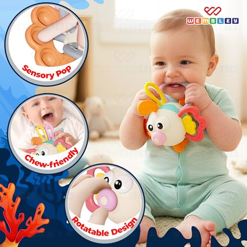 Image of Wembley Teethers Baby Toys for 6 to 12 Months | BPA Free Food Grade Silicone Baby Sensory Motor Skills Montessori Toddler Pull String Activity Toy for Babies | Gift Toys for 3-12 Months Girl Boy