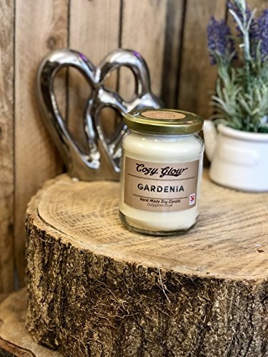 Bougie de soja parfum Gardénia grande taille pot verre Cosy Glow