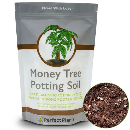 Perfect Plants Money Tree Potting Soil 2qt | Organic Coco Coir Based Plant Mix for Indoor Trees |...
