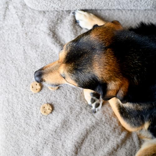 VEGDOG Bedtime Cookies hypoallergene Hundekekse (7 x 400 g) | glutenfreie Leckerlis mit beruhigender Rezeptur | Hundekeks für Allergiker mit Kamille und Kartoffel
