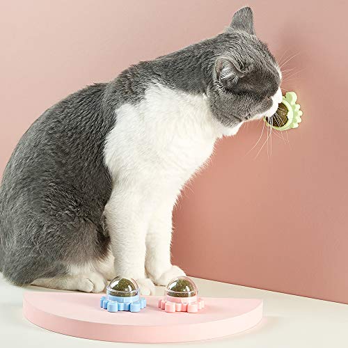 Milifeel Nuovi giocattoli per gatti ruotabili