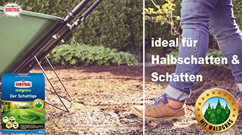 Foto von Substral Rasensamen Der Schattige, Schattenrasen, Premium Rasensamen für schattige Stellen, 2 kg für 100 m²