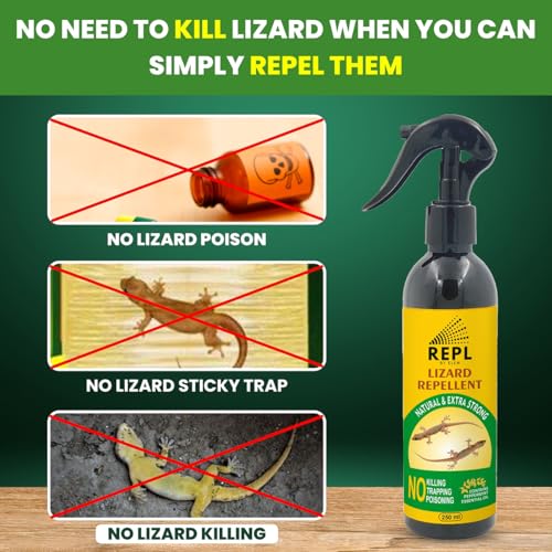 Image of Repl Lizard Repellent Spray(250ml*2) |Powerful Indoor & Outdoor Protection Up to 40 Days |Peppermint Oil Formula |Keeps Lizards Away Naturally |Safe for Kids, Pets & Family |Non-Toxic & Easy to Use (PACK OF 2)