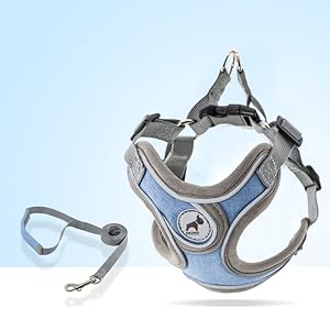 Dog harness with leash set no pull adjustable step in dog collars harness with breathable padded vest harness for small medium large dogs training and runningm blue   cucciolini doodles