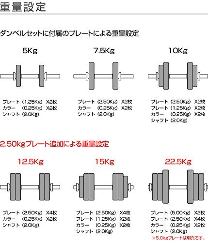 FIELDOORシャフト　２０キロプレート ２枚セット FIELDOOR バーベル 用 プレート 20kg 2個セット ブラック