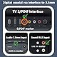 MISYNLON Digitaler Koaxial-RCA-Stecker auf 3,5-mm-Buchse mit USB-Schnittstelle, Konverter-Adapter, Stereo-Audiokabel, für Blu-ray-Player, Set-Top-Boxen, PS4, Lautsprecher, Verstärker, Fernseher, 0,2 m