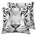 Poszewki na poduszki z tygrysem bengalskim 45 x 45 cm zestaw 2, biały czarny tygrys fajna twarz tygrysa poliestrowe poszewki na poduszki do sypialni, na sofę, kanapę