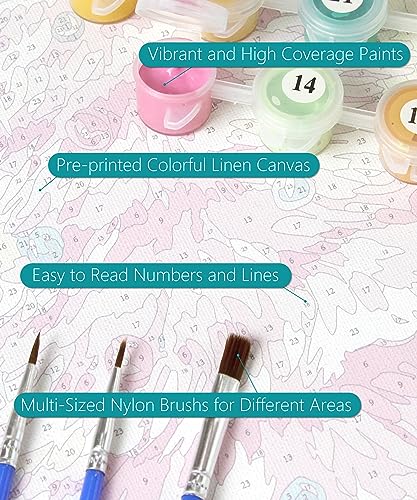 Slody SDUSPBN014 Christmas Paint By Number thumb #2