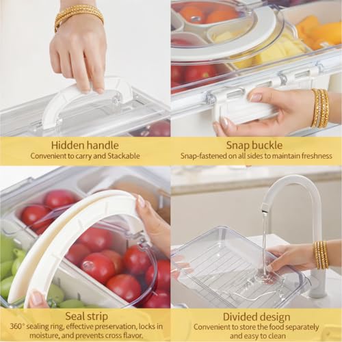 Image of DecorTwist 9 Compartment Fridge Organizer Box with Lid | Fruit & Vegetable Storage Container | BPA Free Serving Tray for Snacks, Dry Fruits, Nuts | Airtight | Food Grade Plastic (Pack of 2)