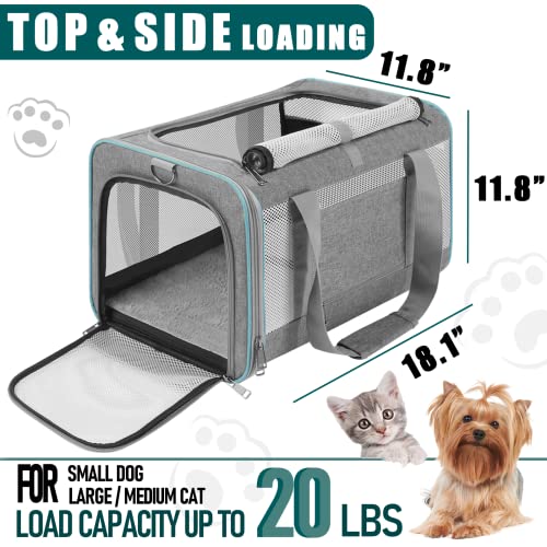 image for GAPZER Pet Carrier for Large Cats 20 lbs+ / Soft Sided Small Dog Trave