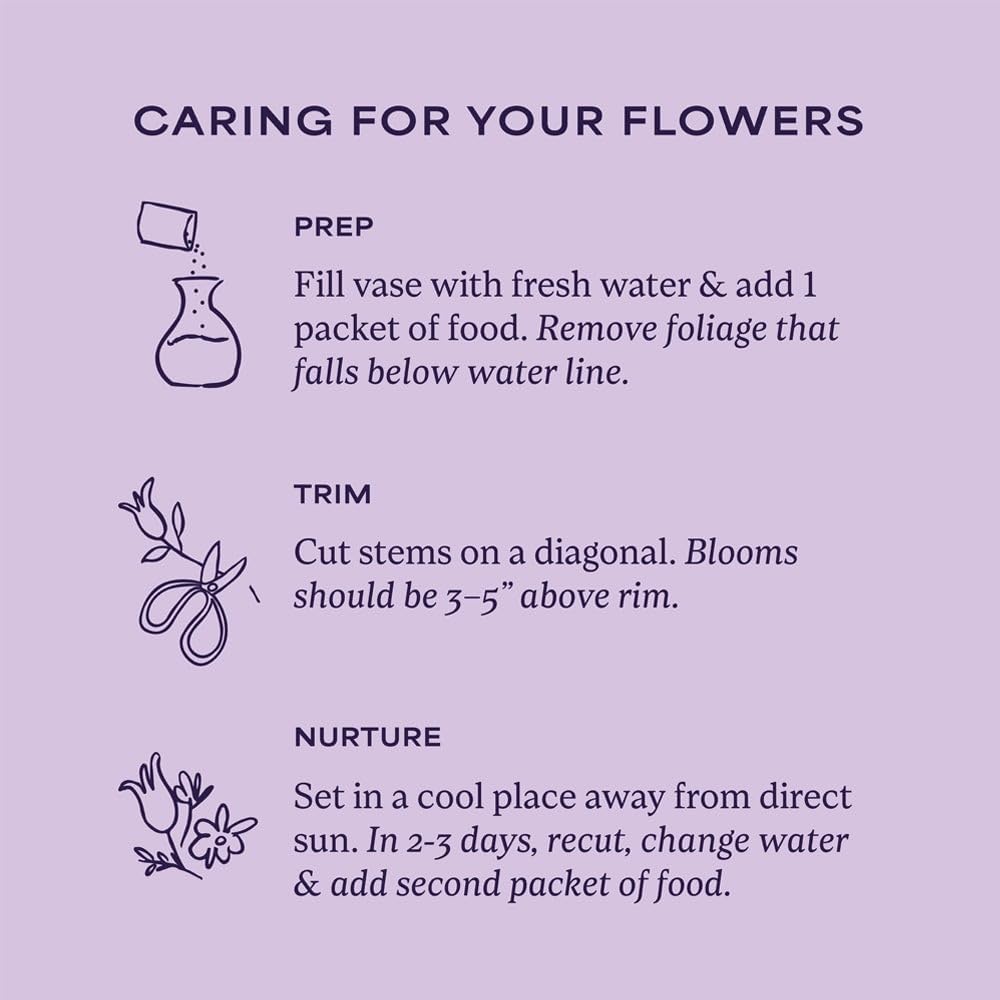 1800 Flowers - Vibrant Blooms Bouquet Double (Clear Vase Included) - Fresh Flowers for Delivery - Gift for Anniversary, Birthday, Congratulations, Get Well, Thank You - Image 5