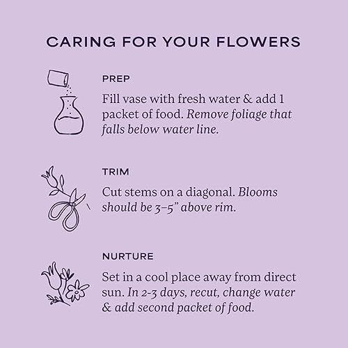 Miniatura 4 de 1800 Flores  Ramo mixto rosa doble (jarrón rosa incluido)  Flores frescas para entrega  Regalo para aniversario, cumpleaños, felicitaciones,