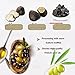 VIGOROUS MOUNTAINS Black Truffle Paste - 3.17 oz Vegan Pesto Pasta Sauce Seasoning in Extra Virgin Olive Oil
