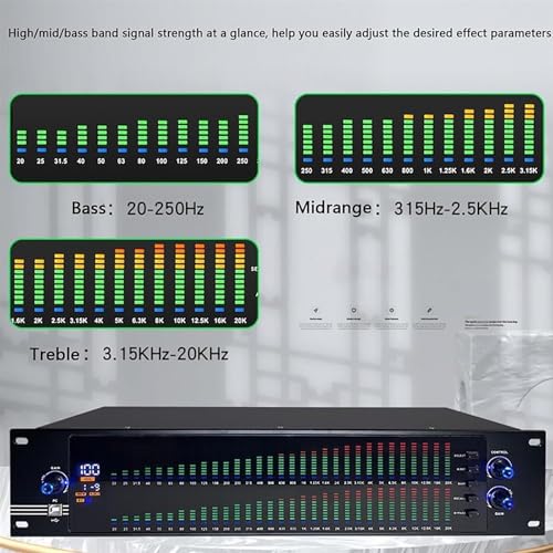Ecualizador gráfico dual canal 31 bandas TsoLay con procesamiento DSP y reducción inteligente de ruido, 10 efectos preestablecidos ajustables y salida de sonido HD para estudio de grabación miniatura 2