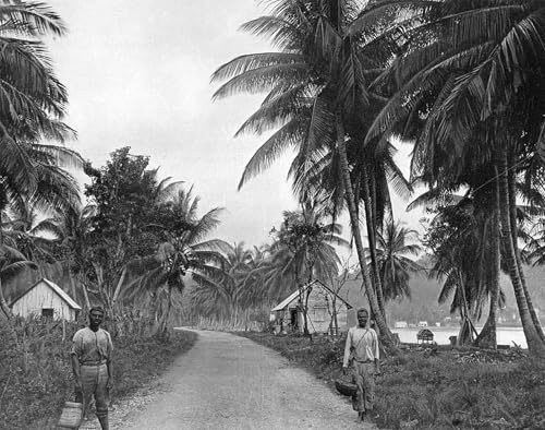 Cuadro sobre lienzo Coconut Grove de Adolphe Duperly para salon 60x90cm