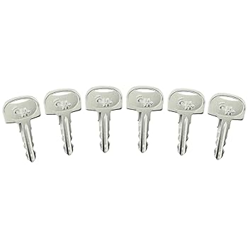 けびんそん Amazon.com: 601 Ignition Keys 60266568 for Sany Mini