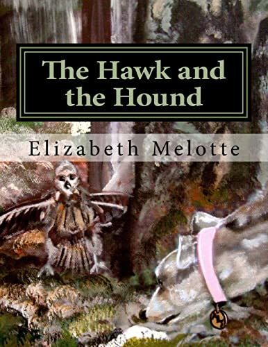 The Hawk and the Hound: Rescuing Big Bird