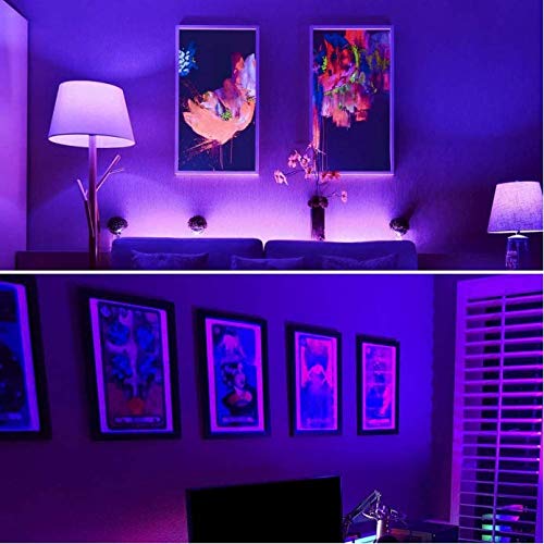 Neporal Led Black Light Bulb,9W A19 Uv Blacklight Bulbs, Uva Level 380-420Nm, E26 Medium Base, 85-265V, Glow In The Dark For Halloween Blacklight Party, Fluorescent Poster, Body Paint, Neon Glow #TOP4