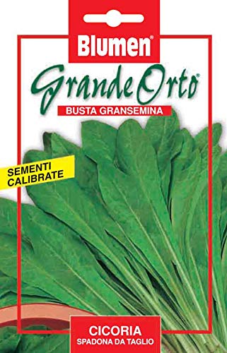 BLUMEN SEMENTI, CICORIA SPADONA DA TAGLIO