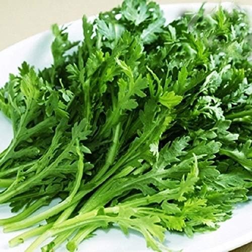 Miniatura 6 de Más de 300 semillas de semillas de margarita, Aantimonio, Mirabeles, Moya, Crisantemo de guirnalda, Rau Tan O