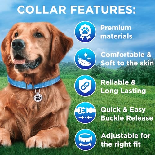 Collar Reflectante para Perro TECEUM Azul Cielo M miniatura 3