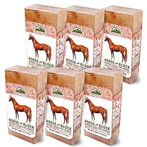 Licking Salt for Horse – 6 Pack, Pink
