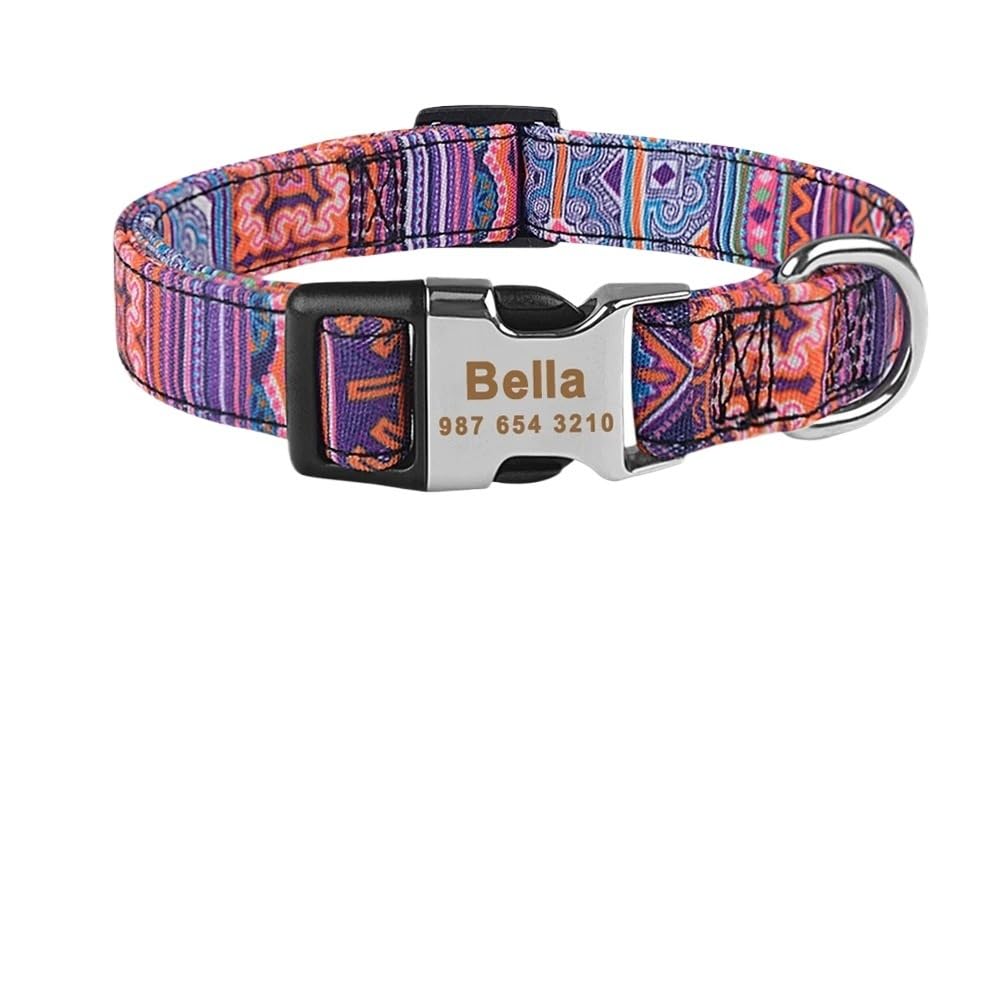 Collier pour chien personnalisé à carreaux pour les balades et sorties nature