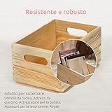 Compactor B00N4YYOTC lato 4